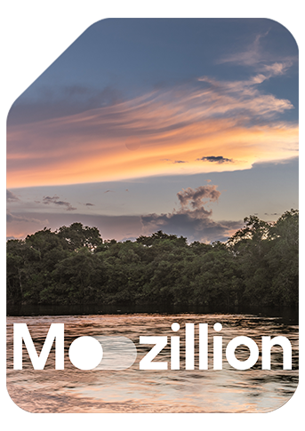 1765557687_Mozillion Travel SIM Cover - guyana.png